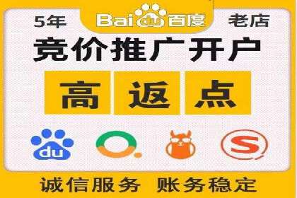 企业SEM服务实战案例解析